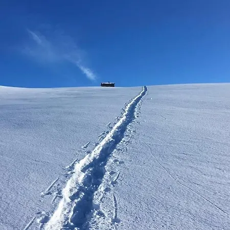 Lena Tromsø Kvaloya