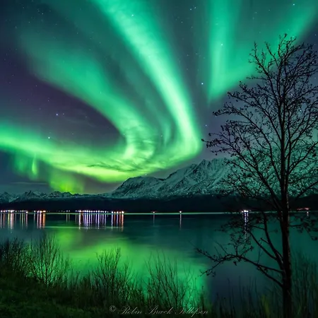 Lena Tromso *